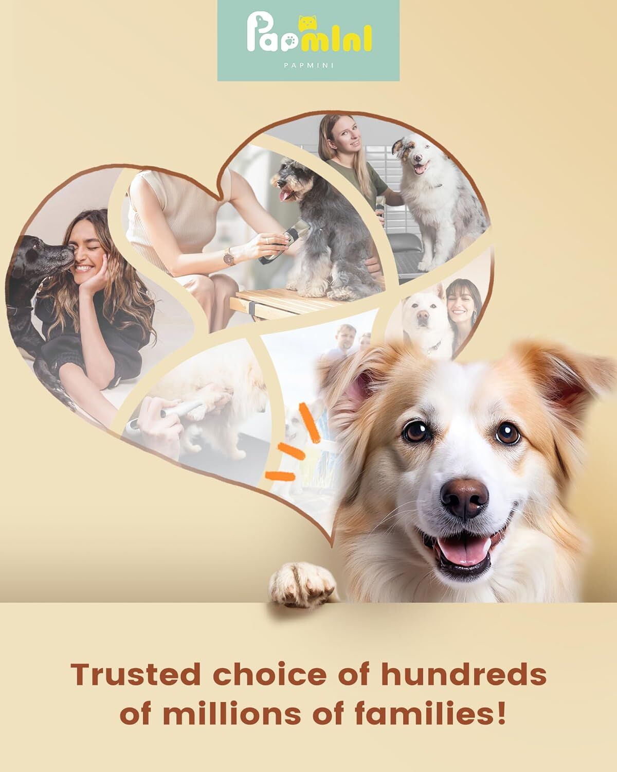 Professional Rechargeable Cordless Dogs Cats Horse Grooming Kit